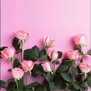 Meet your Posher, Evelyn